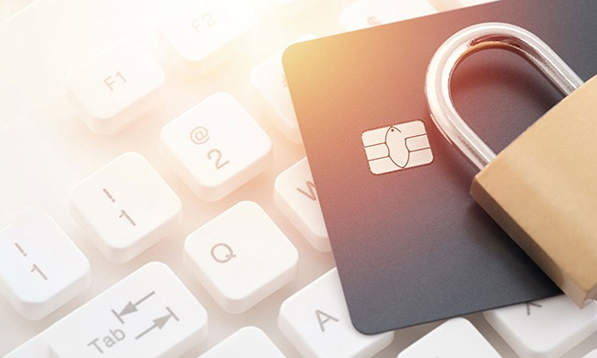 Secure CVV Sites with SSN - Your One-Stop Solution for Safe Online Transactions